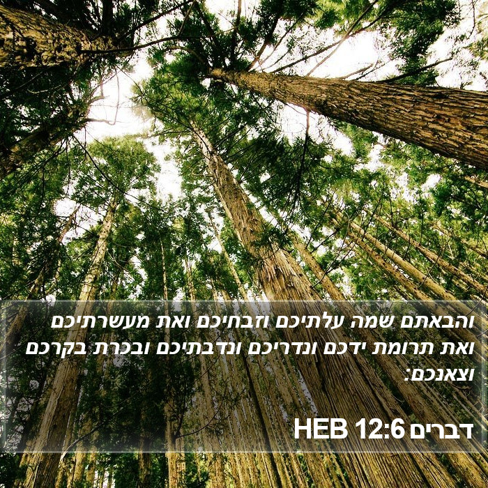 דברים 12:6 HEB Bible Study