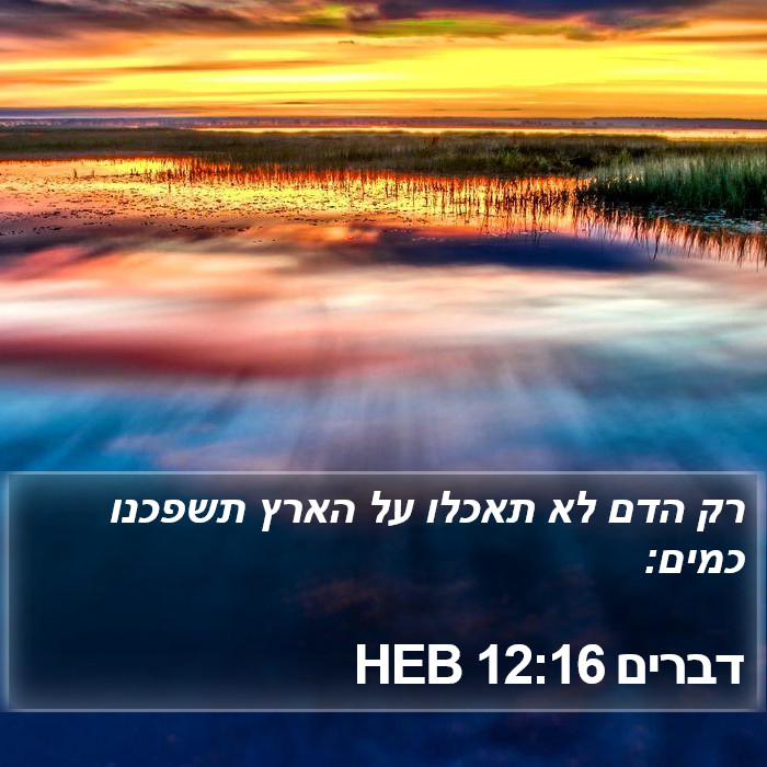 דברים 12:16 HEB Bible Study