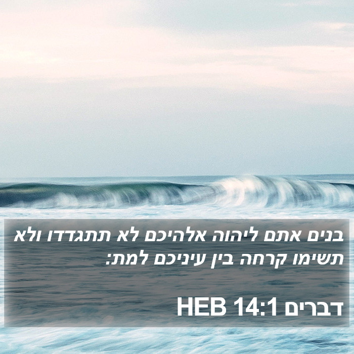 דברים 14:1 HEB Bible Study