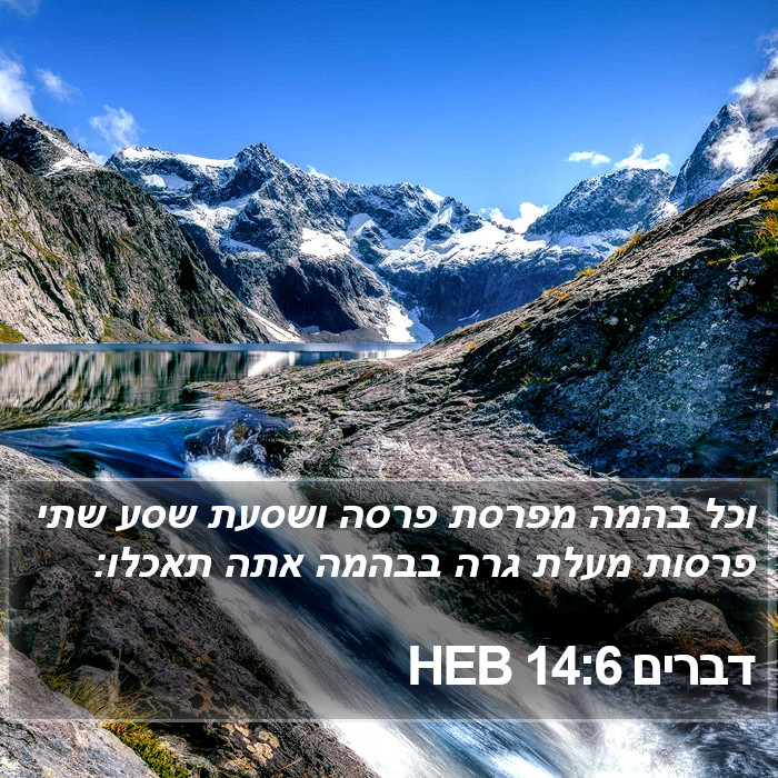 דברים 14:6 HEB Bible Study