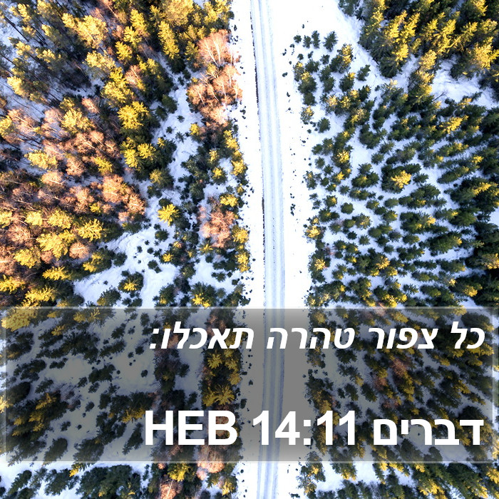 דברים 14:11 HEB Bible Study