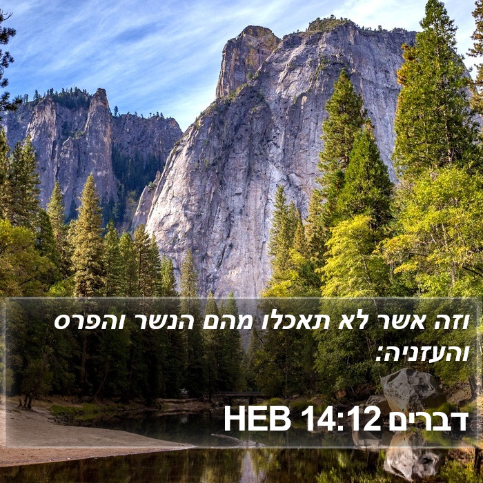 דברים 14:12 HEB Bible Study