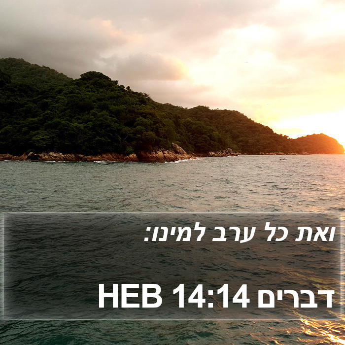 דברים 14:14 HEB Bible Study