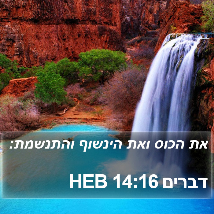 דברים 14:16 HEB Bible Study