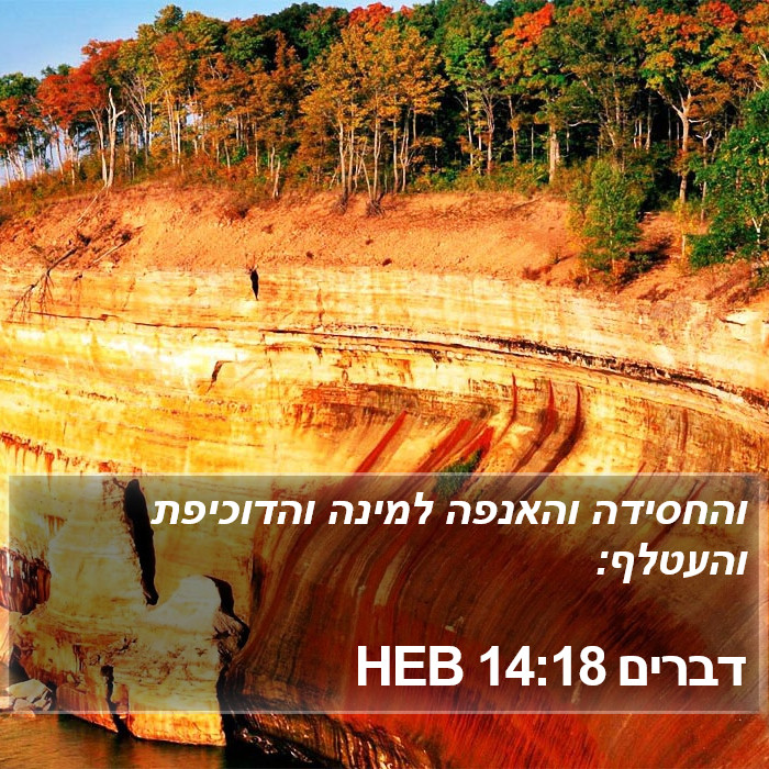 דברים 14:18 HEB Bible Study