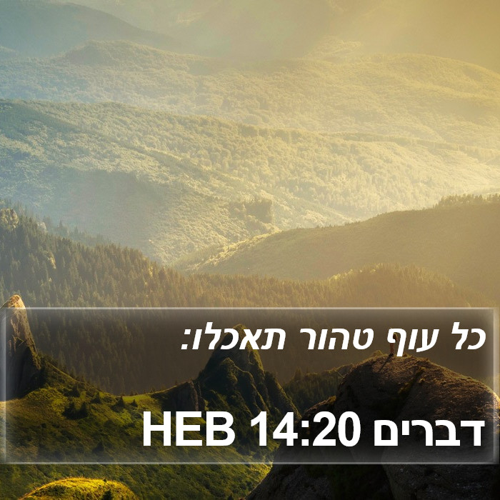 דברים 14:20 HEB Bible Study