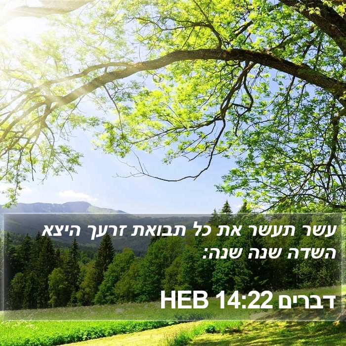 דברים 14:22 HEB Bible Study