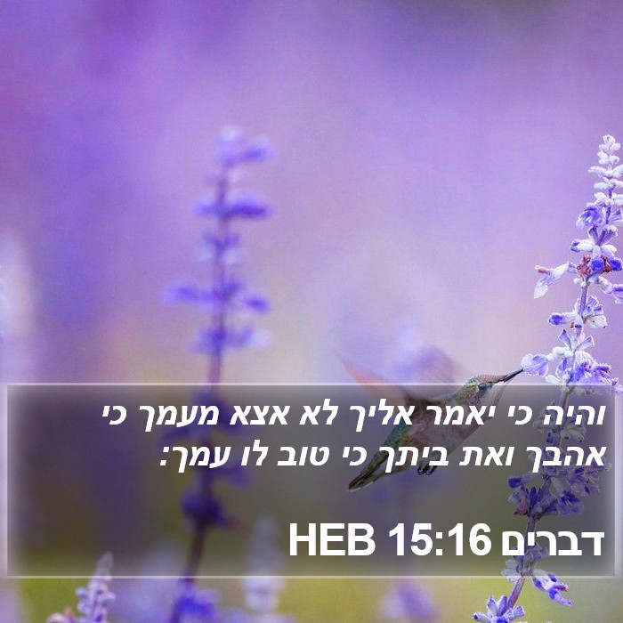 דברים 15:16 HEB Bible Study