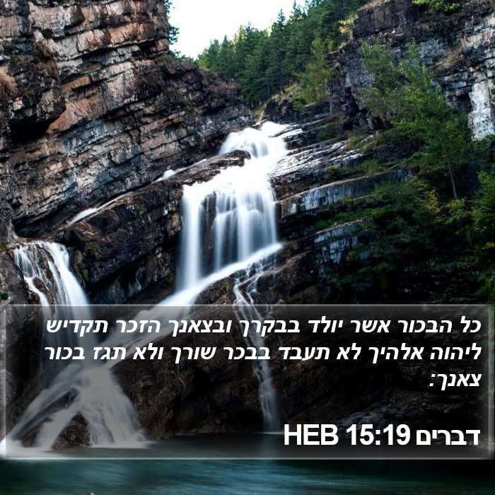 דברים 15:19 HEB Bible Study