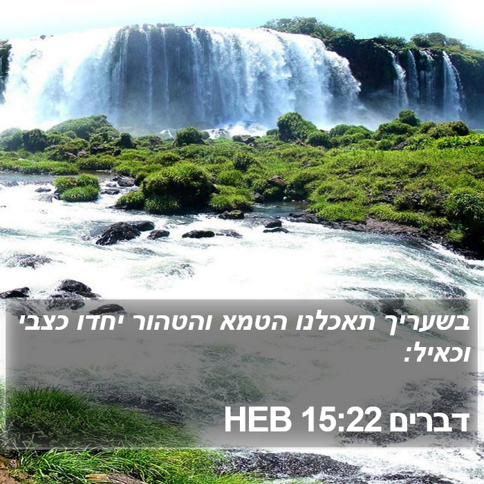דברים 15:22 HEB Bible Study