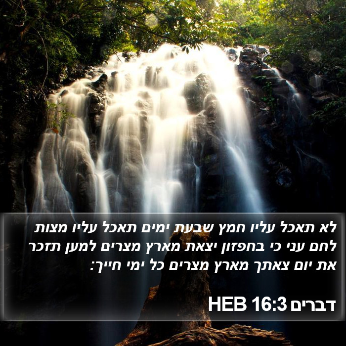 דברים 16:3 HEB Bible Study