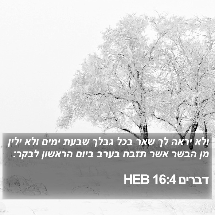 דברים 16:4 HEB Bible Study