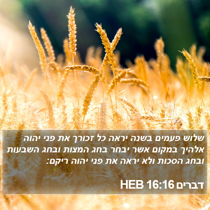 דברים 16:16 HEB Bible Study