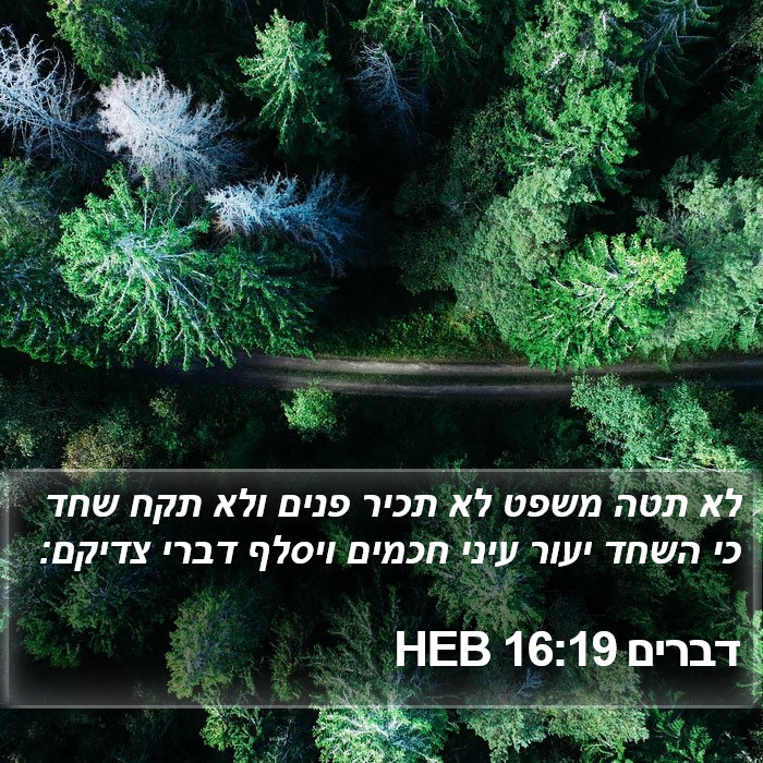 דברים 16:19 HEB Bible Study