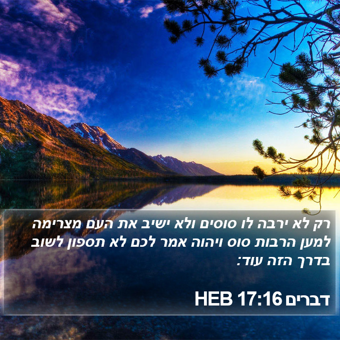 דברים 17:16 HEB Bible Study