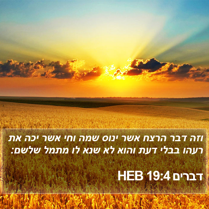 דברים 19:4 HEB Bible Study