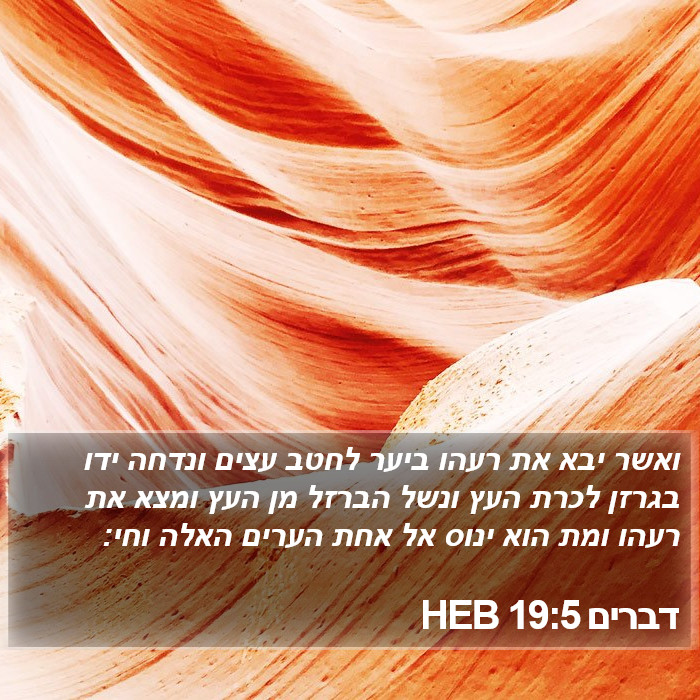 דברים 19:5 HEB Bible Study