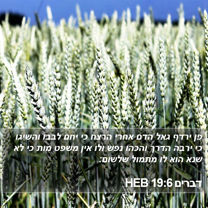 דברים 19:6 HEB Bible Study