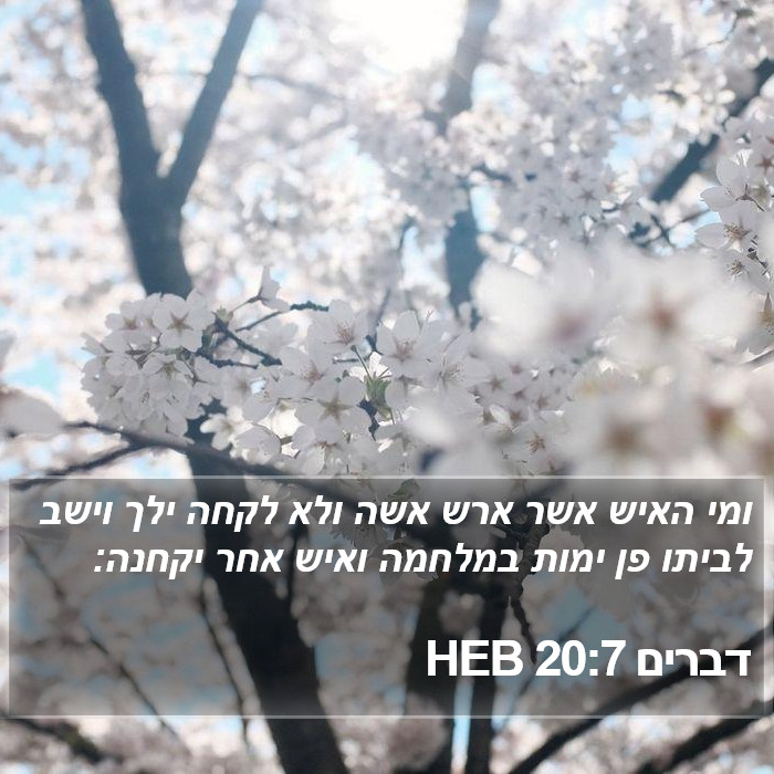 דברים 20:7 HEB Bible Study