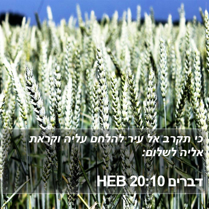 דברים 20:10 HEB Bible Study