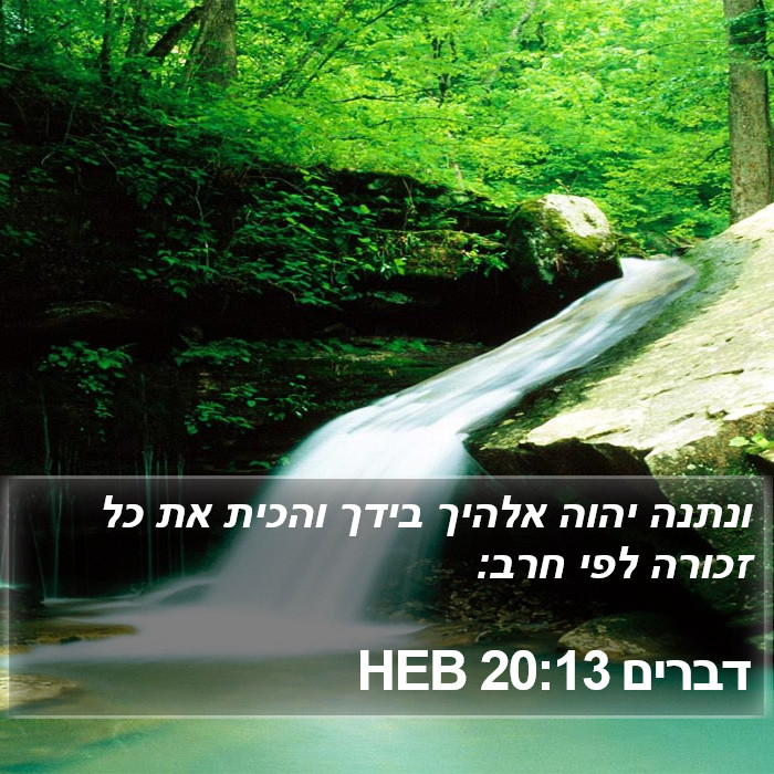 דברים 20:13 HEB Bible Study