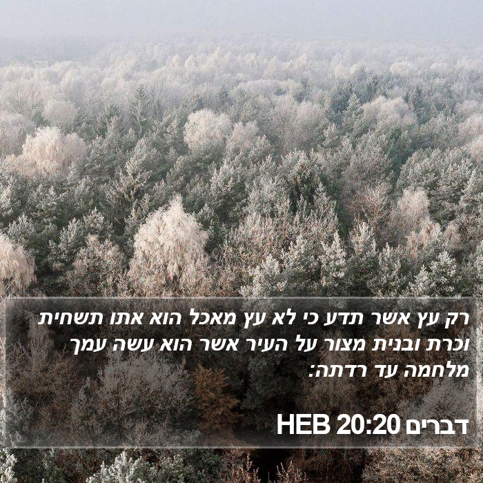 דברים 20:20 HEB Bible Study