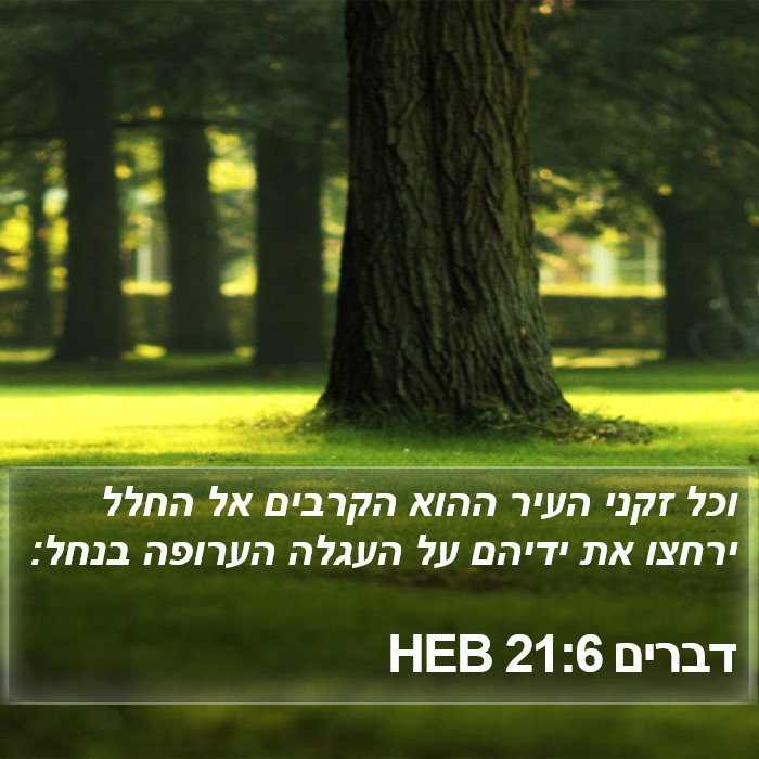 דברים 21:6 HEB Bible Study