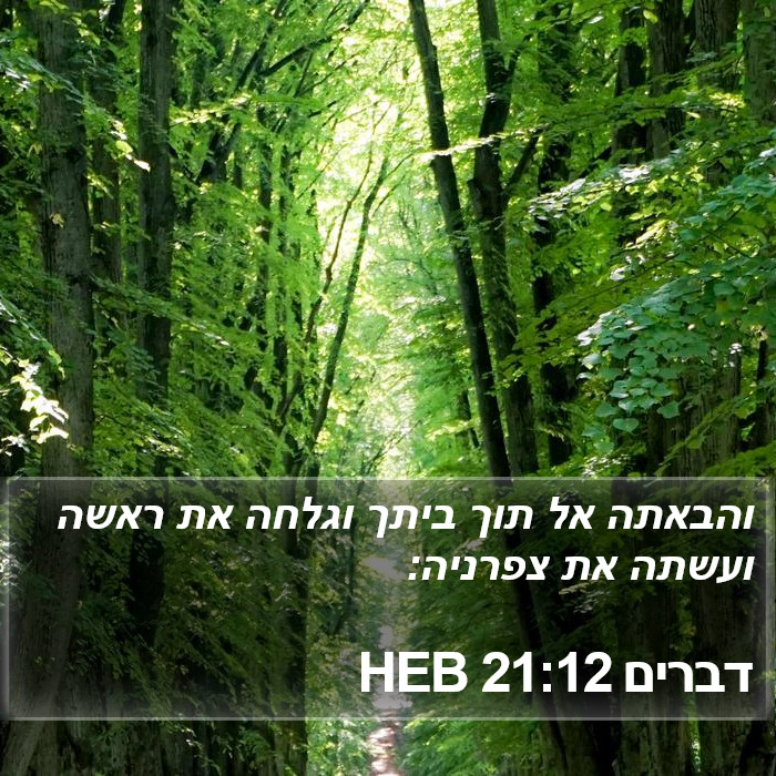 דברים 21:12 HEB Bible Study