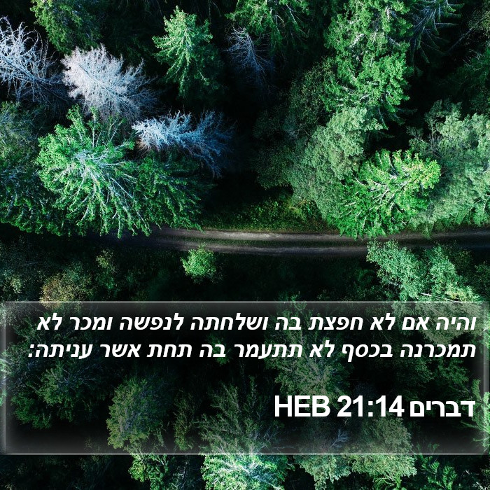 דברים 21:14 HEB Bible Study