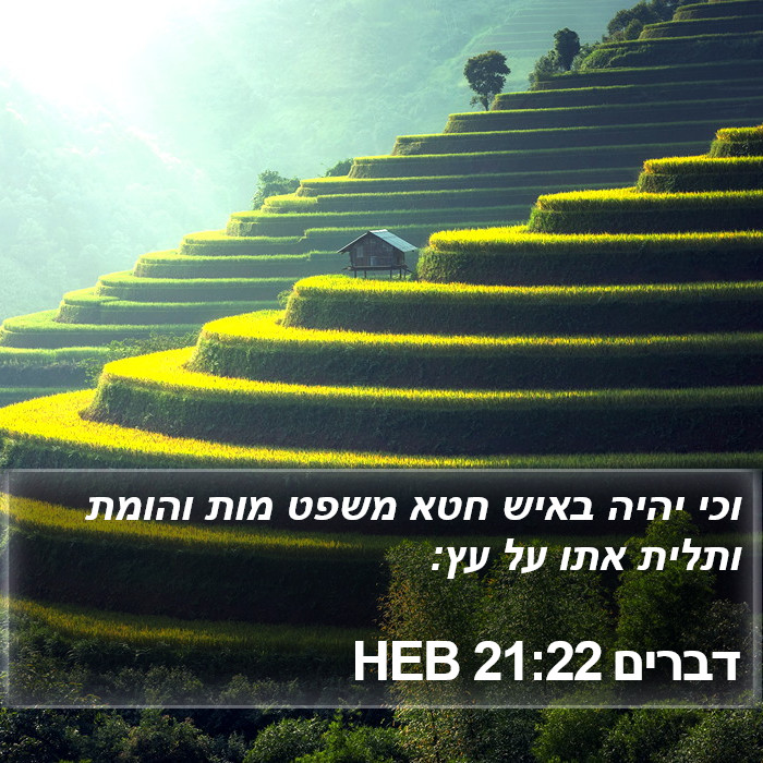 דברים 21:22 HEB Bible Study