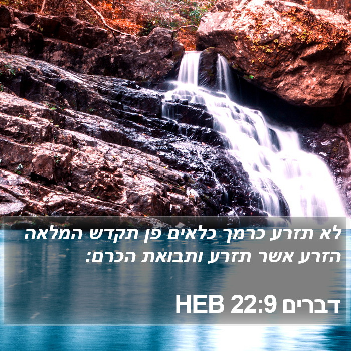 דברים 22:9 HEB Bible Study