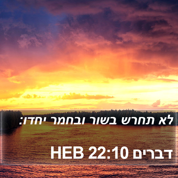 דברים 22:10 HEB Bible Study