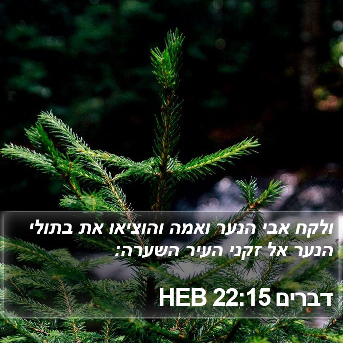 דברים 22:15 HEB Bible Study