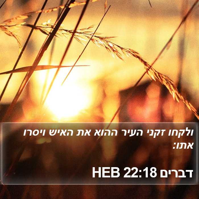 דברים 22:18 HEB Bible Study