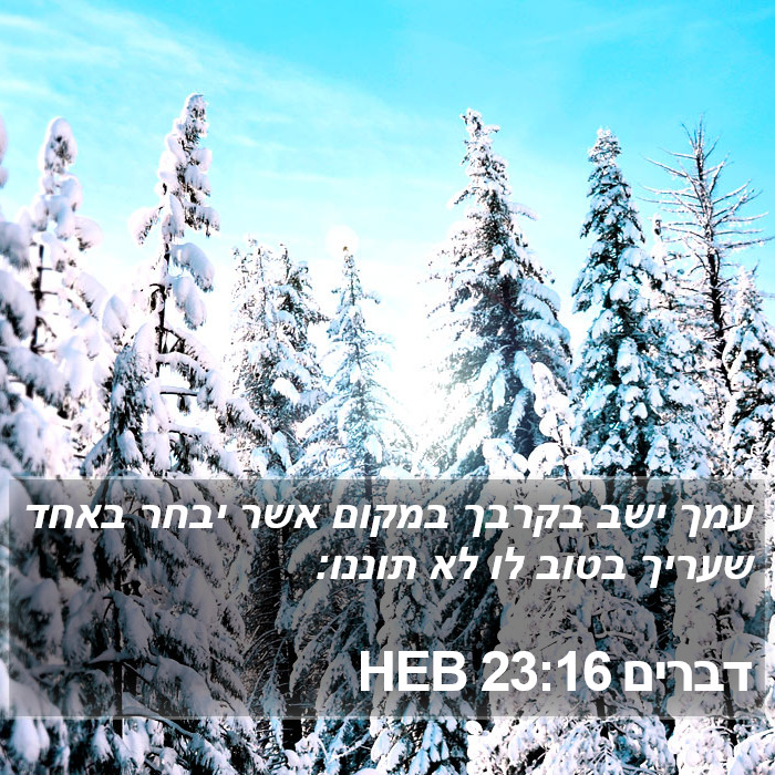 דברים 23:16 HEB Bible Study