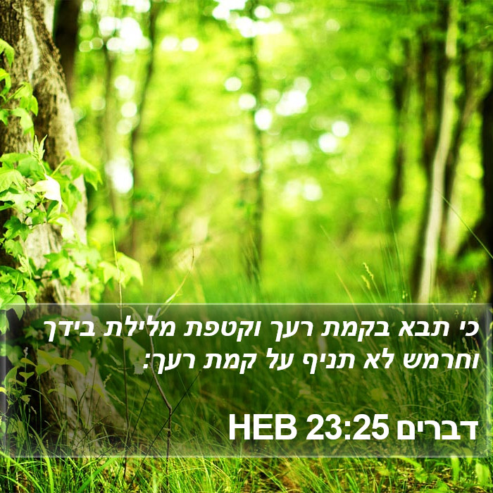 דברים 23:25 HEB Bible Study