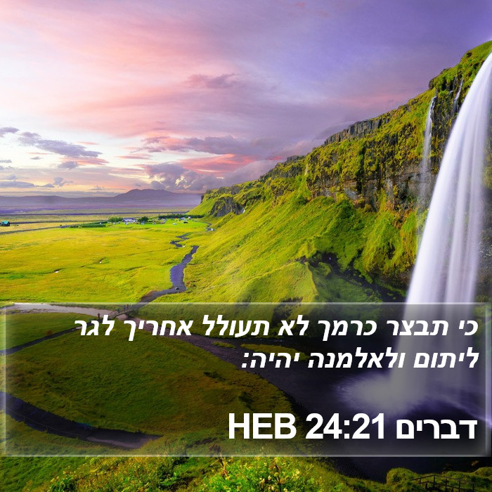 דברים 24:21 HEB Bible Study