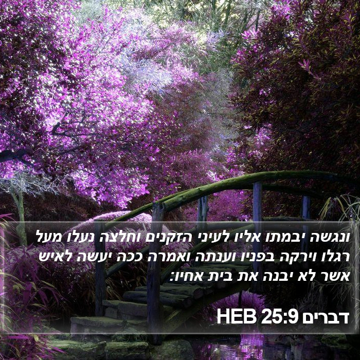 דברים 25:9 HEB Bible Study