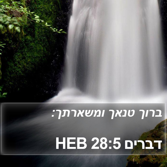 דברים 28:5 HEB Bible Study