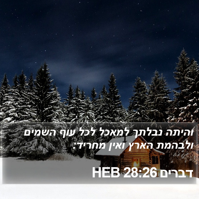 דברים 28:26 HEB Bible Study