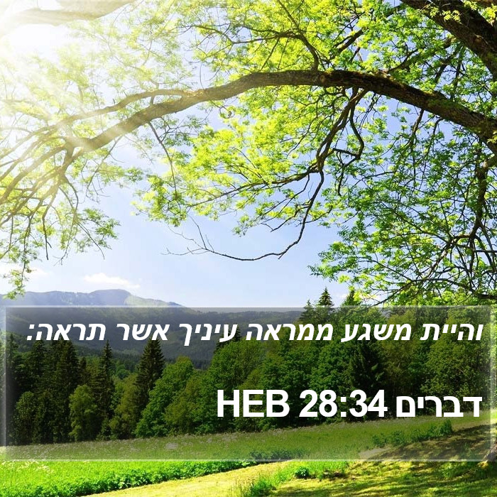 דברים 28:34 HEB Bible Study