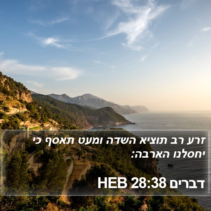 דברים 28:38 HEB Bible Study