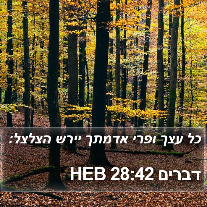 דברים 28:42 HEB Bible Study