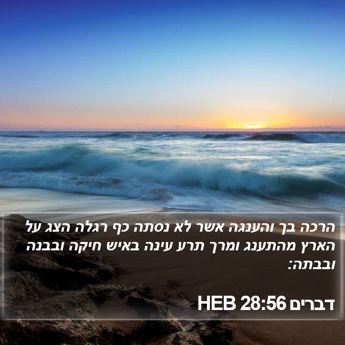 דברים 28:56 HEB Bible Study