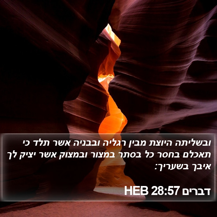 דברים 28:57 HEB Bible Study