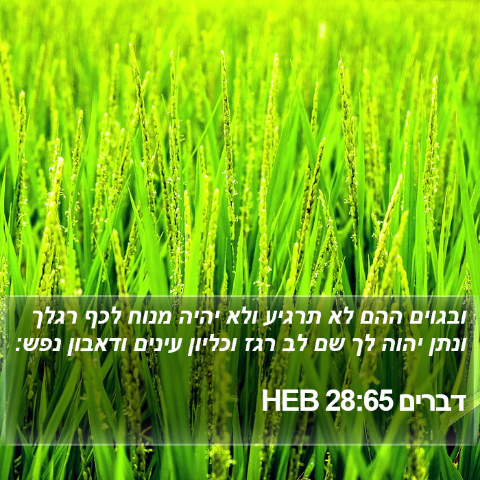 דברים 28:65 HEB Bible Study