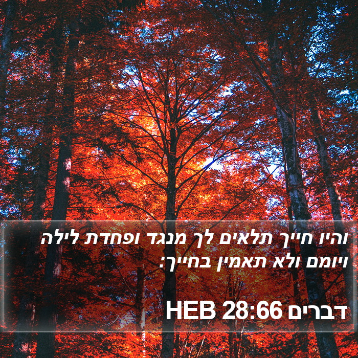 דברים 28:66 HEB Bible Study