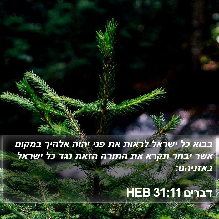 דברים 31:11 HEB Bible Study