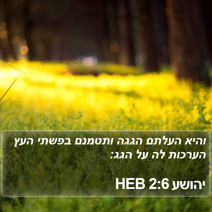 יהושע 2:6 HEB Bible Study