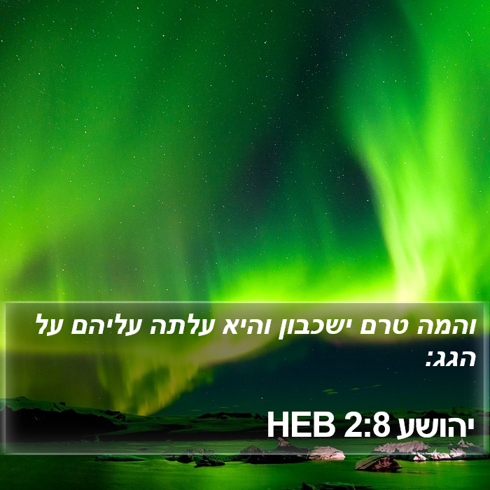 יהושע 2:8 HEB Bible Study